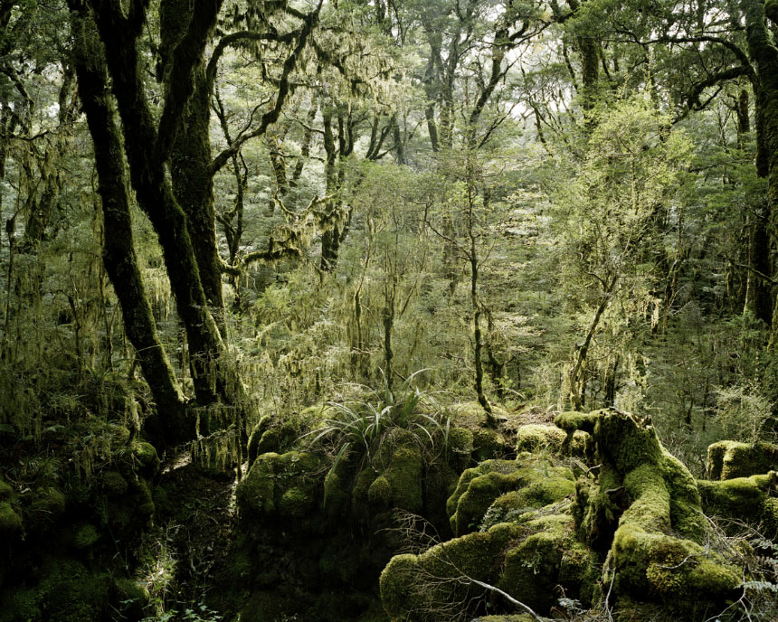 Startbild_688x860.jpg